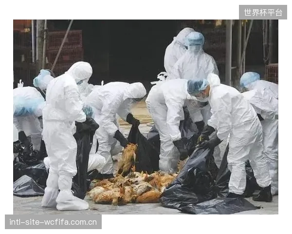阿根廷首战需警惕阿尔及利亚的防守反击，避免重蹈覆辙。