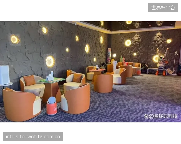 部分俱乐部为追求“科技感”而采购的分析系统使用率极低，这种非理性投资扭曲了市场信号